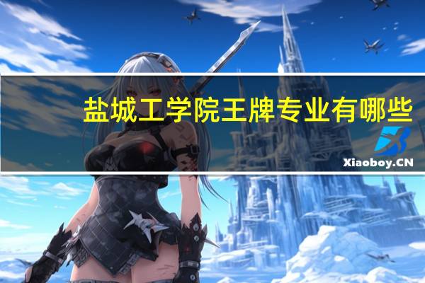 盐城工学院王牌专业有哪些