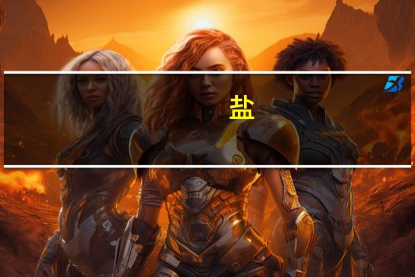盐（关于盐的介绍）