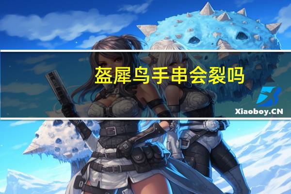 盔犀鸟手串会裂吗(盔犀鸟手串)