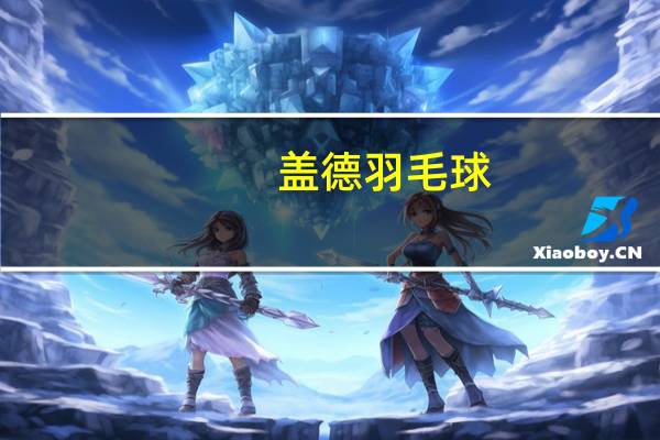 盖德羽毛球（盖德）