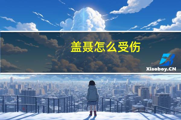 盖聂怎么受伤（盖聂怎么死的）