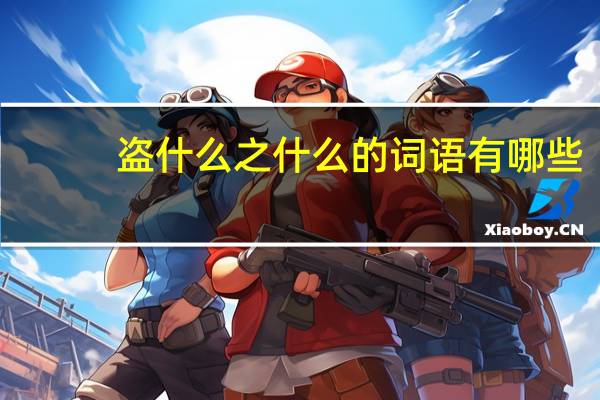 盗什么之什么的词语有哪些?