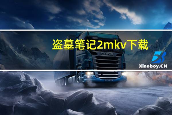 盗墓笔记2 mkv 下载（盗墓笔记2迅雷下载）