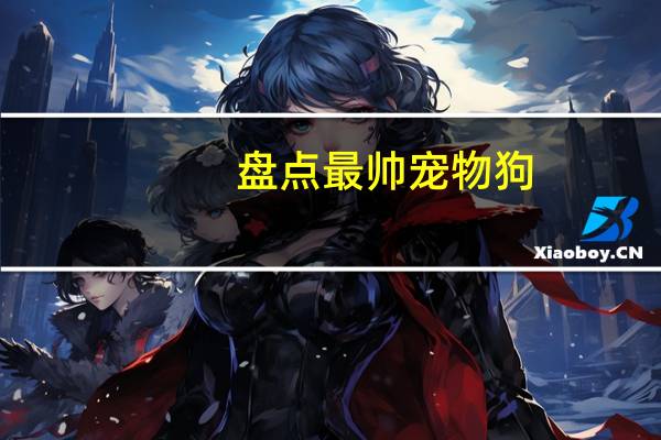 盘点最帅宠物狗