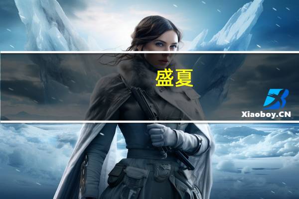 盛夏,是某某的第二本吗