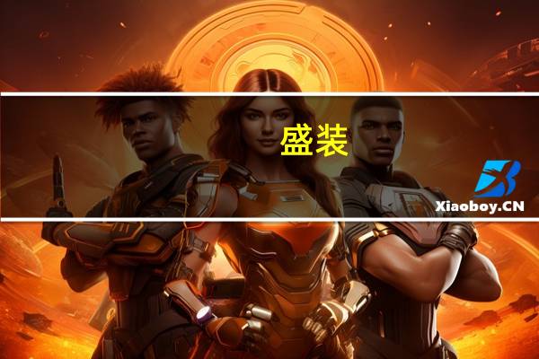 盛装（关于盛装的介绍）