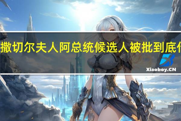 盛赞撒切尔夫人 阿总统候选人被批 到底什么情况嘞