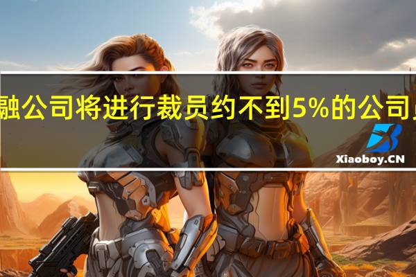 盟友金融公司（前身为通用汽车金融服务公司）将进行裁员约不到5%的公司员工将受影响