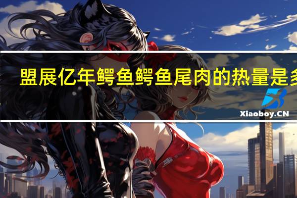 盟展 亿年鳄鱼 鳄鱼尾肉的热量是多少