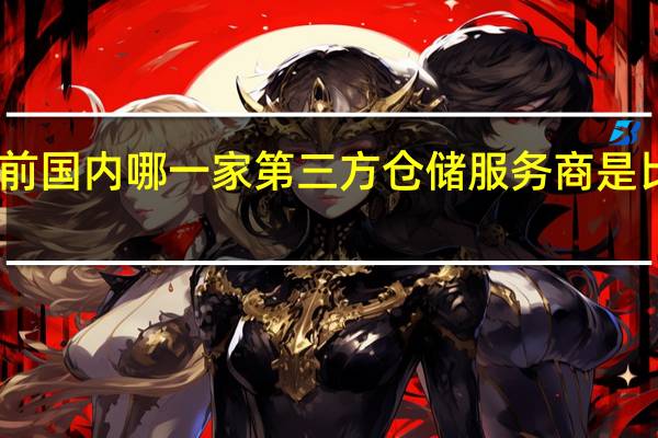目前国内哪一家第三方仓储服务商是比较好的