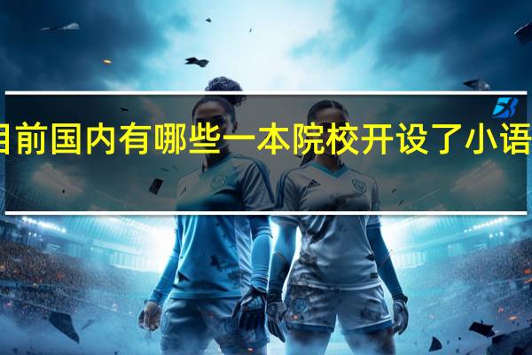 目前国内有哪些一本院校开设了小语种专业
