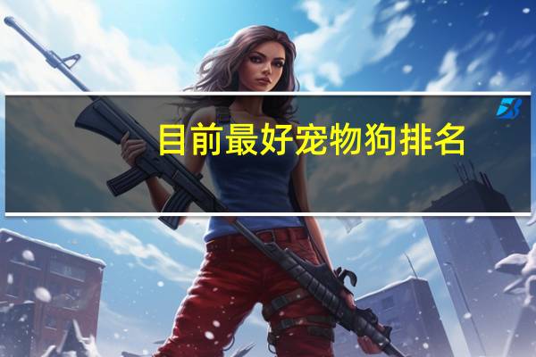 目前最好宠物狗排名