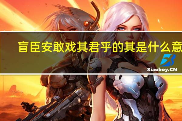 盲臣安敢戏其君乎的其是什么意思
