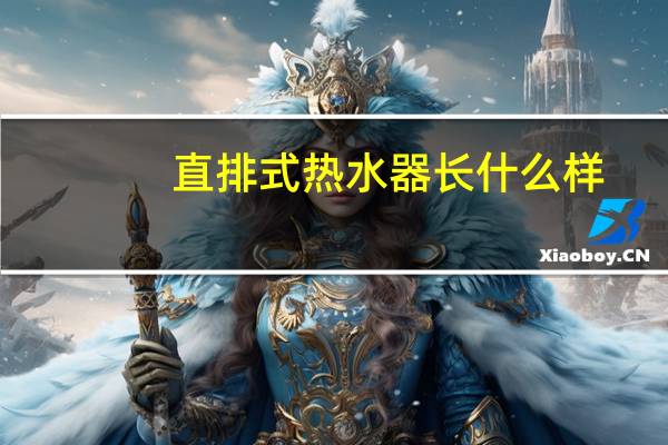 直排式热水器长什么样（直排式热水器）