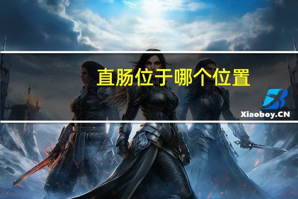 直肠位于哪个位置（直肠位于哪里）