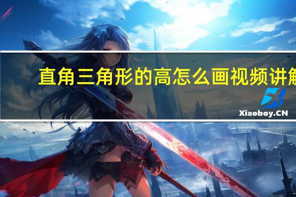 直角三角形的高怎么画视频讲解（直角三角形的高怎么画）