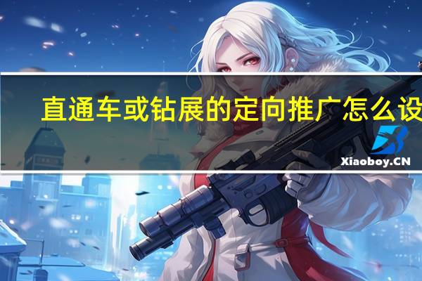 直通车或钻展的定向推广怎么设置（在淘宝直通车里的定向推广什么意思）