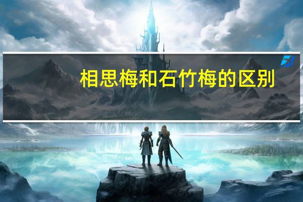 相思梅和石竹梅的区别