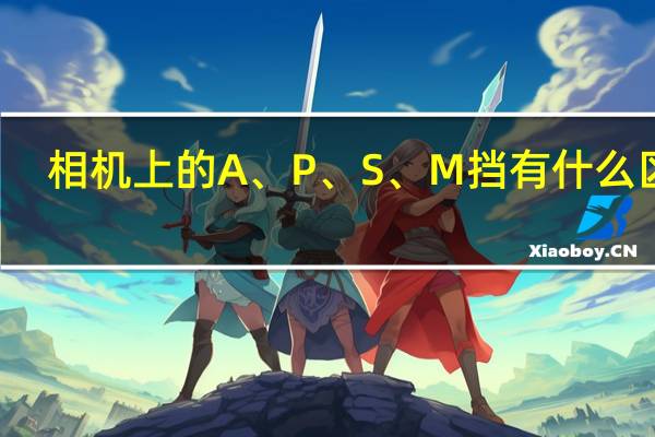 相机上的 A、P、S、M 挡有什么区别