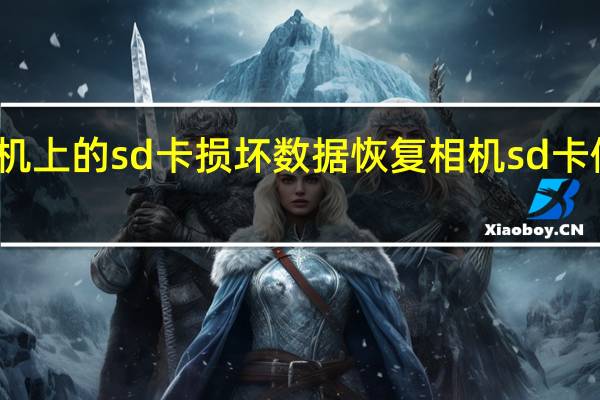 相机上的sd卡损坏数据恢复 相机sd卡修复工具