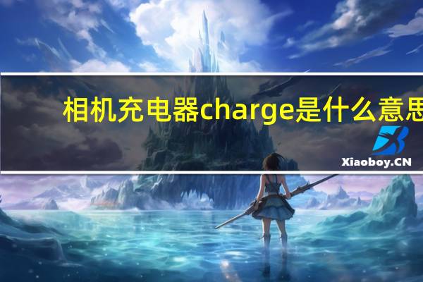 相机充电器charge是什么意思