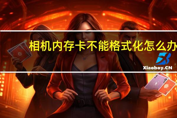 相机内存卡不能格式化怎么办(相机内存卡无法格式化(相机内存卡不能格式化))