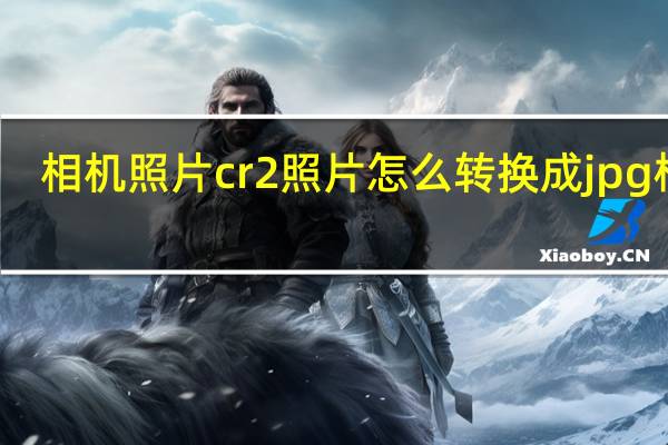 相机照片cr2照片怎么转换成jpg格式（相机cr2怎么转换成jpg）