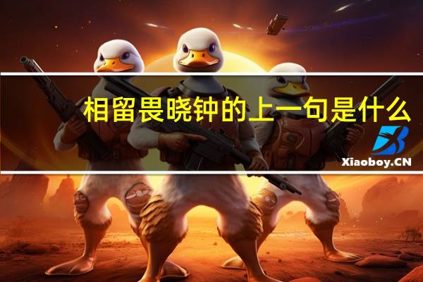 相留畏晓钟的上一句是什么