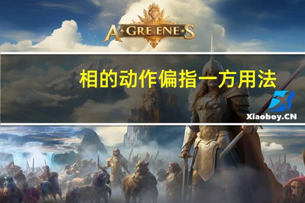 相的动作偏指一方用法