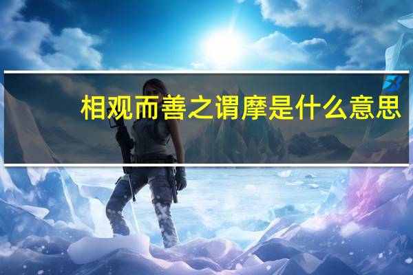 相观而善之谓摩是什么意思
