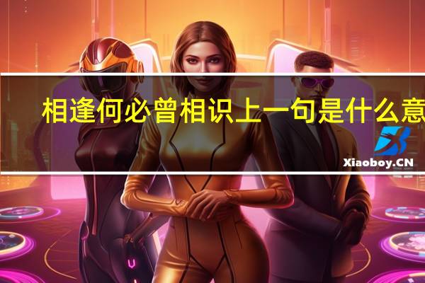 相逢何必曾相识上一句是什么意思（不思量自难忘是什么意思）