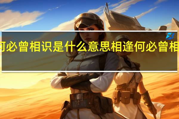 相逢何必曾相识是什么意思 相逢何必曾相识的上一句