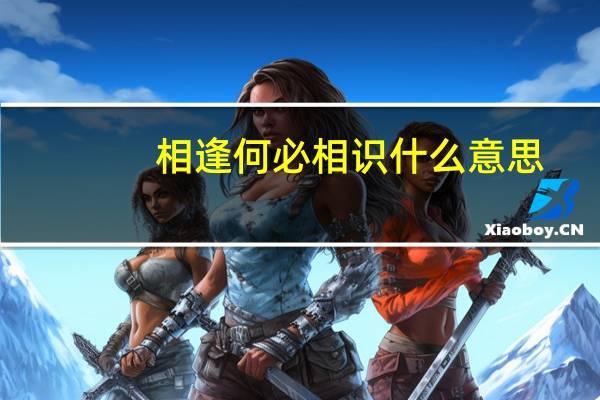 相逢何必相识什么意思