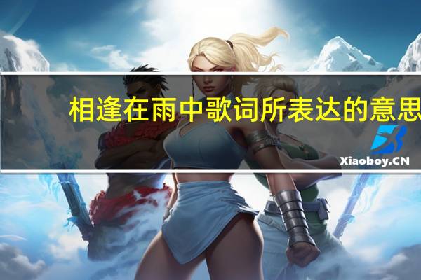 相逢在雨中歌词所表达的意思