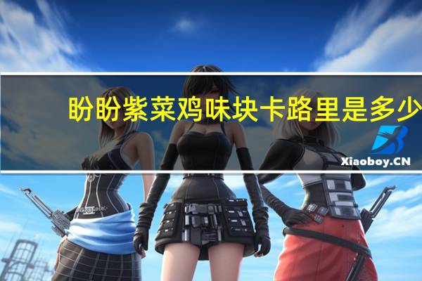 盼盼 紫菜鸡味块卡路里是多少