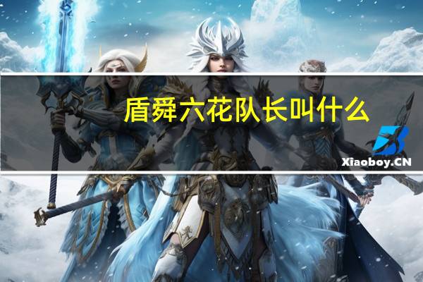 盾舜六花队长叫什么（盾舜六花）