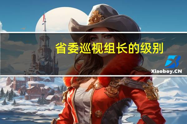 省委巡视组长的级别