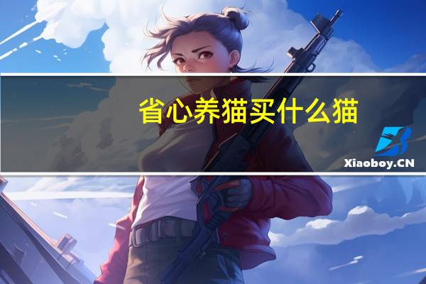 省心养猫买什么猫