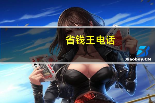 省钱王电话（关于省钱王电话的介绍）