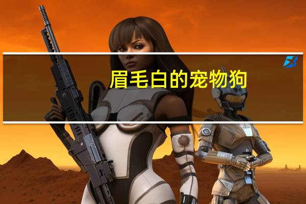 眉毛白的宠物狗