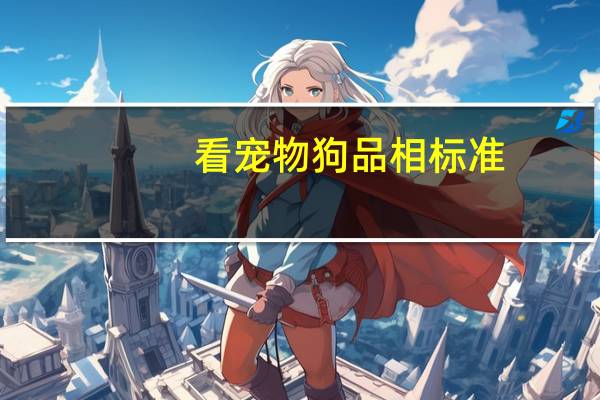 看宠物狗品相标准