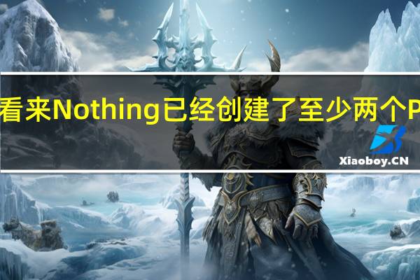 看来 Nothing 已经创建了至少两个 Phone (2) 变体