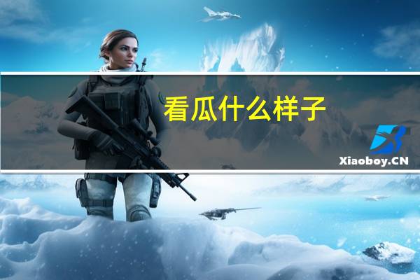 看瓜什么样子（看瓜）