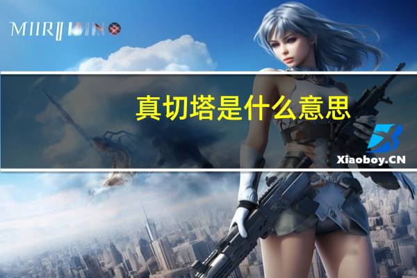 真切塔是什么意思（真切）