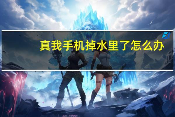 真我手机掉水里了怎么办(手机掉水里了怎么办)