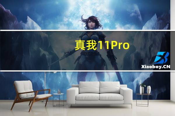 真我11Pro/Pro+手机预计均采用6.7英寸OLED曲面屏