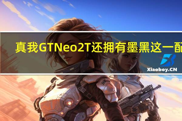 真我GTNeo2T还拥有墨黑这一配色
