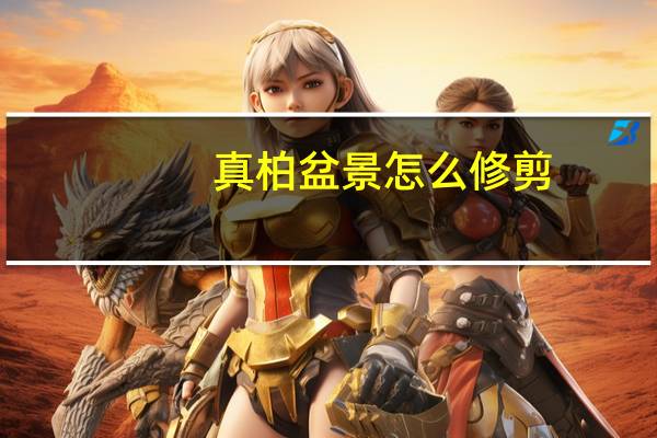 真柏盆景怎么修剪