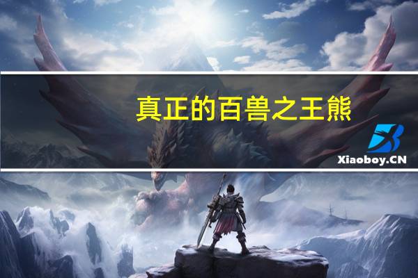 真正的百兽之王熊