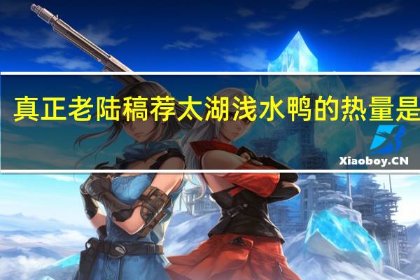 真正老陆稿荐 太湖浅水鸭的热量是多少